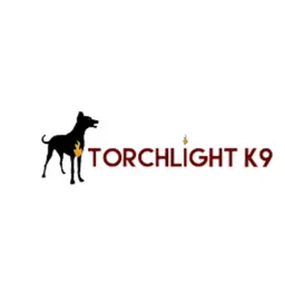 Torchlightk9