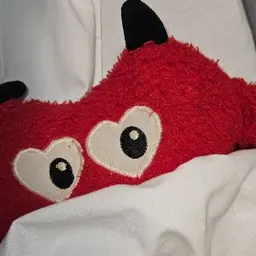 MrZoolook