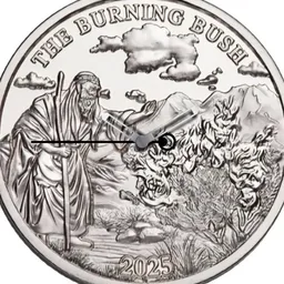 Niue, The Burning Bush, 2025