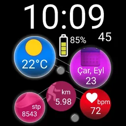 FS WP10 Digital Watch face