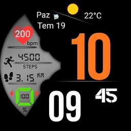 FS WM10 Digital Watch face