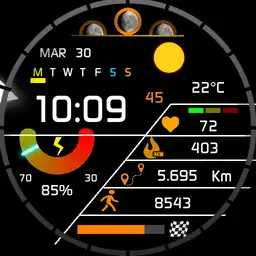 Orange watch full info Lele Puma