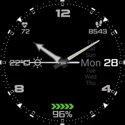 rpi-111