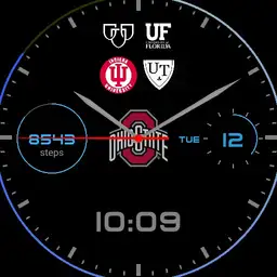 OSU/UT/Mayo/UF/IU w/digital time no/SW and dim Block O
