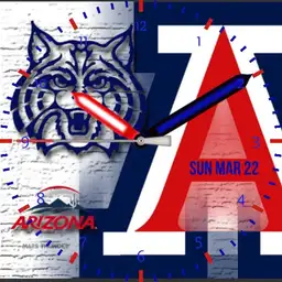Arizona Wildcats