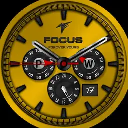 Focus Gold sport