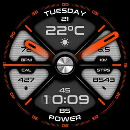 VELOCE
