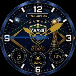 Brazil world cup