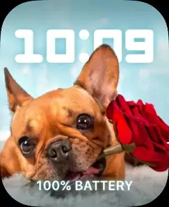 VALENTINES DOG