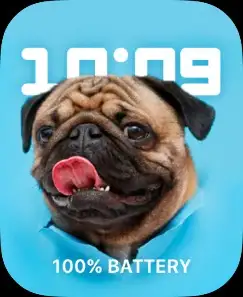 FUNNY DOG