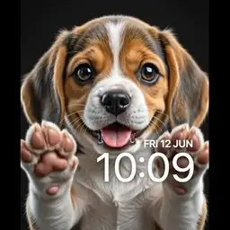 beagle love