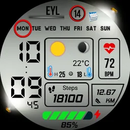 FS WM18 Digital Watch face