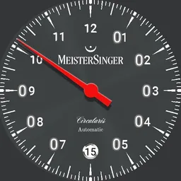 Meistersinger Circulars Automatic Sunburst Anthracite