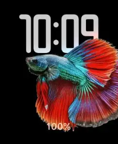 Fish swim