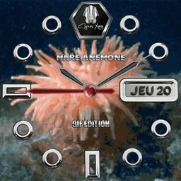 Cyrius Xage Mare Anemone