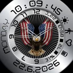 USA analog and digital 2