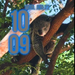 Koala Watch Face