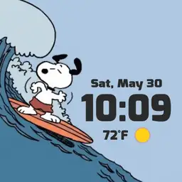Surfing Snoopy