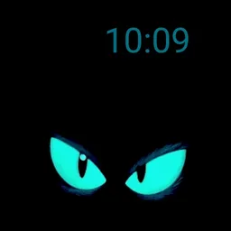 Look Cat