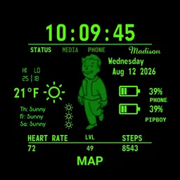 Pip-Boy 1 Copy