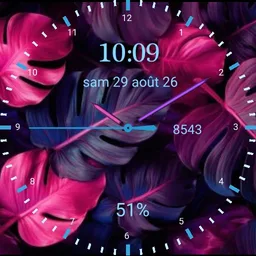 Fushia design 2025