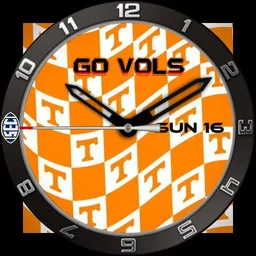 Go Vols Power T Flag
