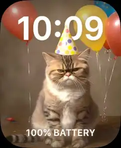 PARTY POOPER