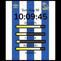 SWFC DIGITAL