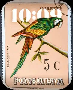 STAMP