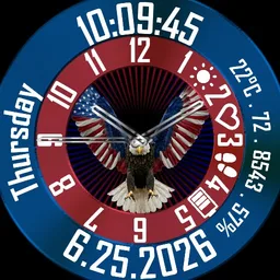 USA DIGITAL & ANALOG
