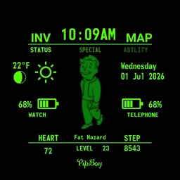 Pip-Boy noah