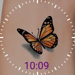 Untitled watch