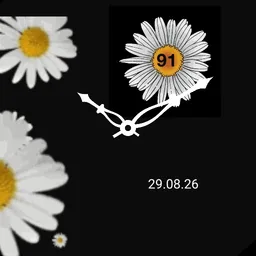 daisy watch