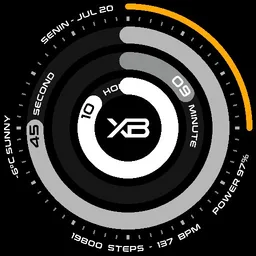 XBwatch WSDG2