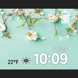 Blossom