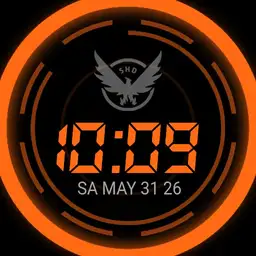 The Division