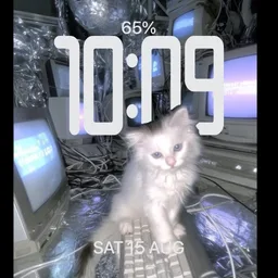 this is a cat