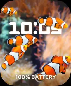 FISH