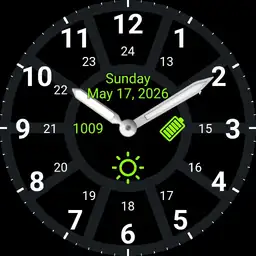 Basic Field Watch 1
