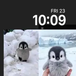 Penguin