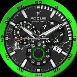 Focus quartz v12