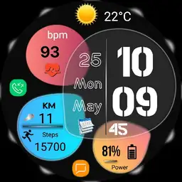 FSWM1 Digital Watch Face