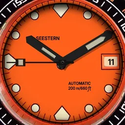 Seestern