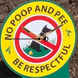 Earn Your Respect