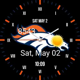 Denver Broncos