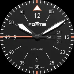 Fortis Aviatis Cockpit Two