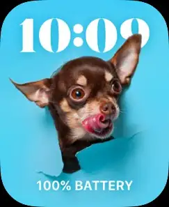 FUNNY DOG