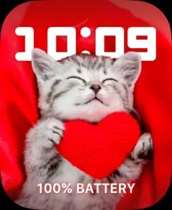 VALENTINES CAT