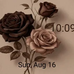 Brown roses