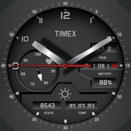 Timex Hybrid